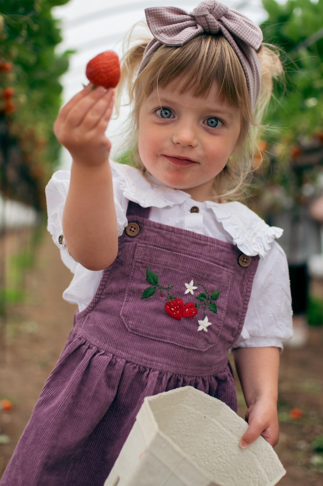 Medium panel embroidery